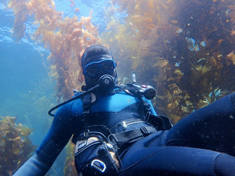 TreVaughn Ellis, a UD doctoral student, dives to research microbial seagrass communities. SUBMITTED PHOTOS